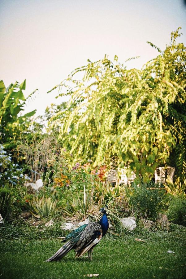 הוילה Dhiyellótika The Artist'S Farm מראה חיצוני תמונה