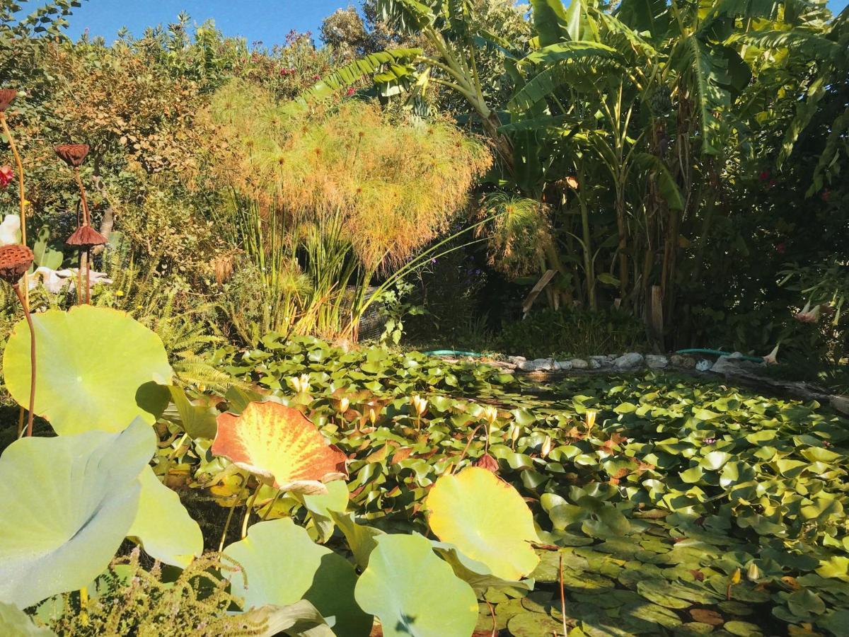 הוילה Dhiyellótika The Artist'S Farm מראה חיצוני תמונה